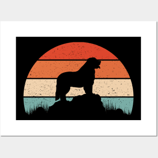 Leonberger Sunset Posters and Art